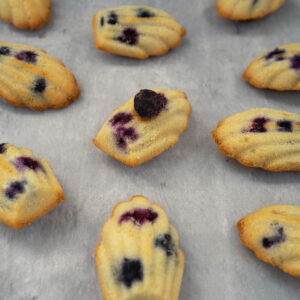 madeleins de arandanos y limón web